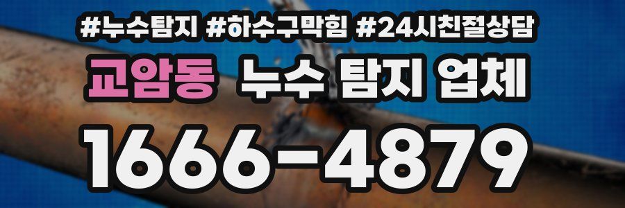 교암동 누수 탐지 업체