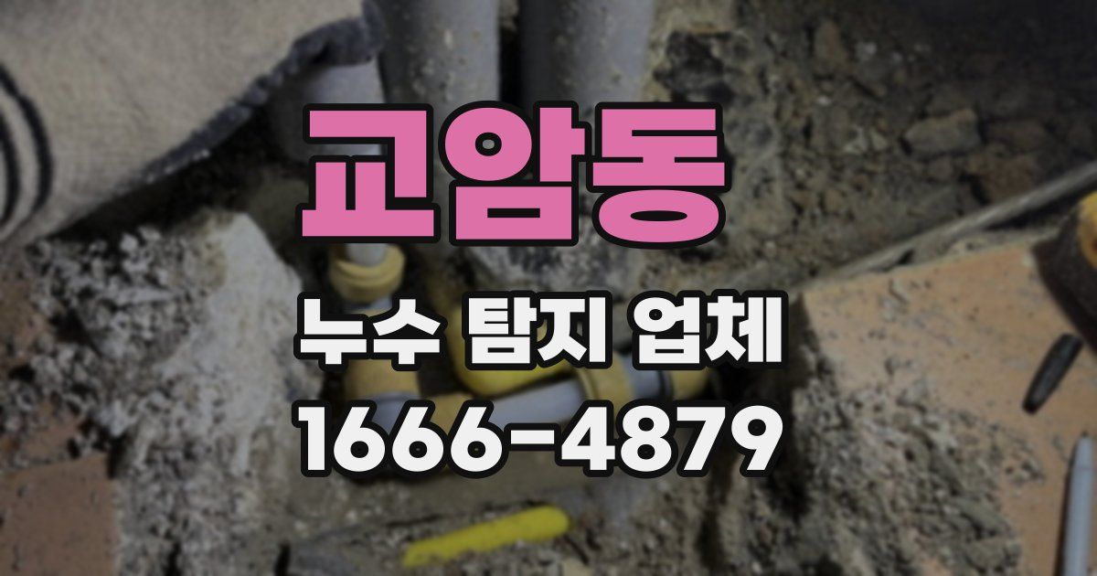 교암동 누수 탐지 업체