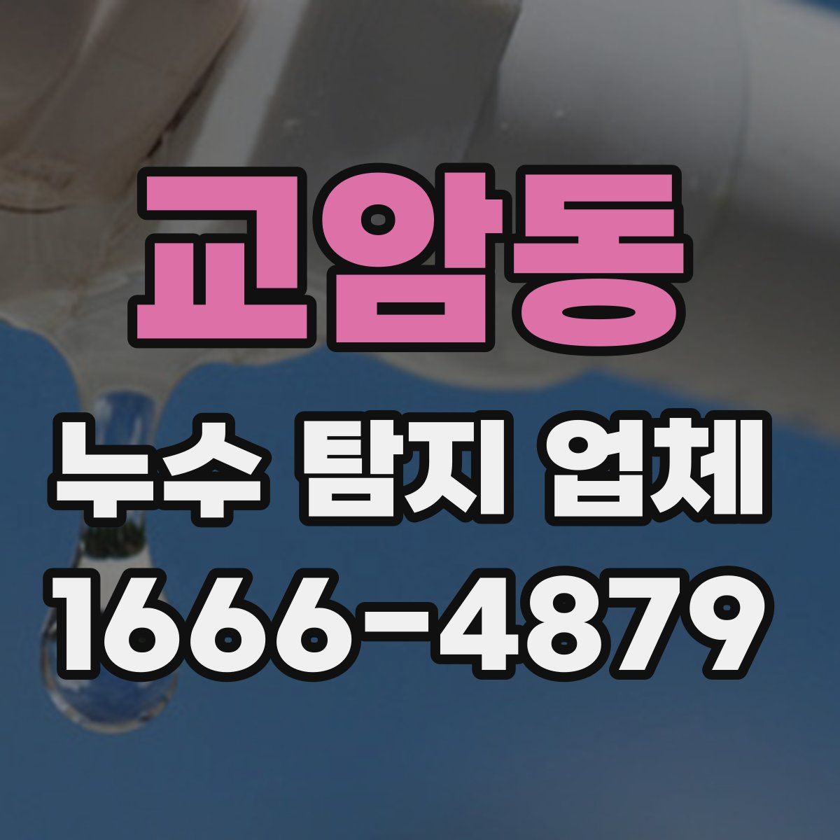 교암동 누수 탐지 업체