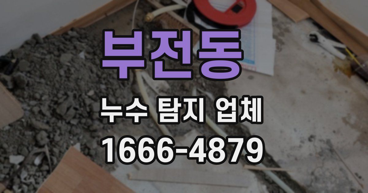 부전동 누수 탐지 업체