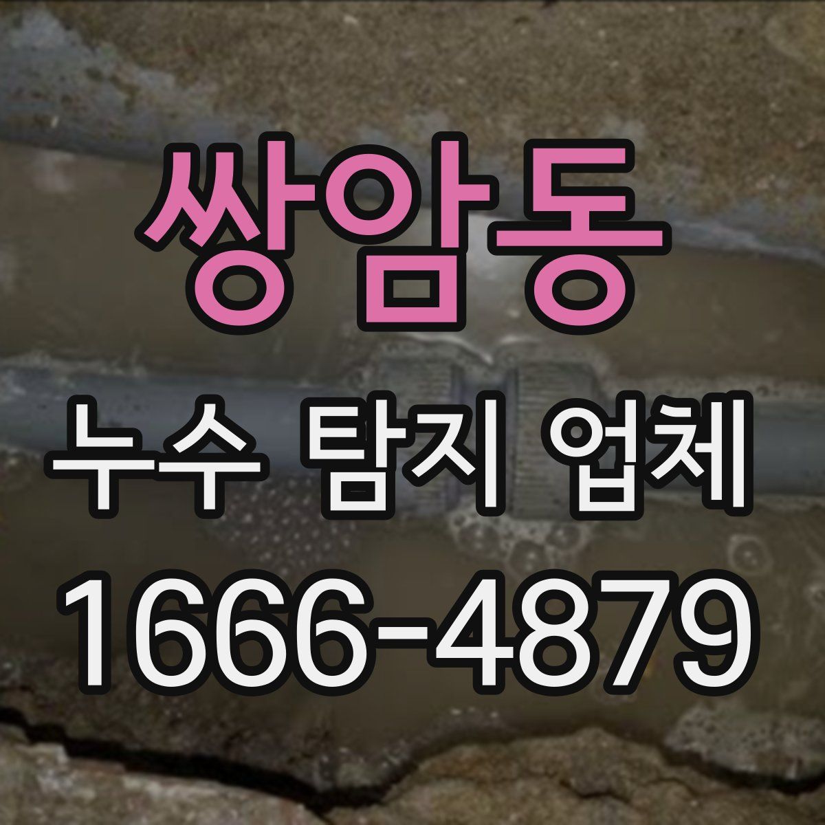 쌍암동 누수 탐지 업체