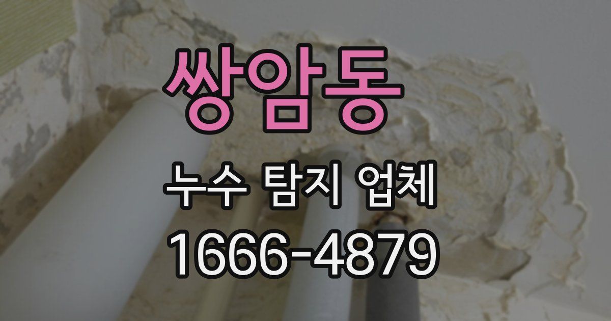 쌍암동 누수 탐지 업체