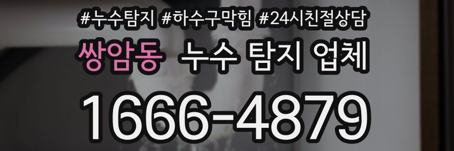 쌍암동 누수 탐지 업체