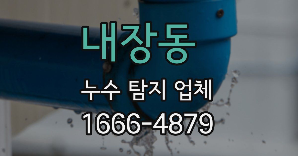 내장동 누수 탐지 업체