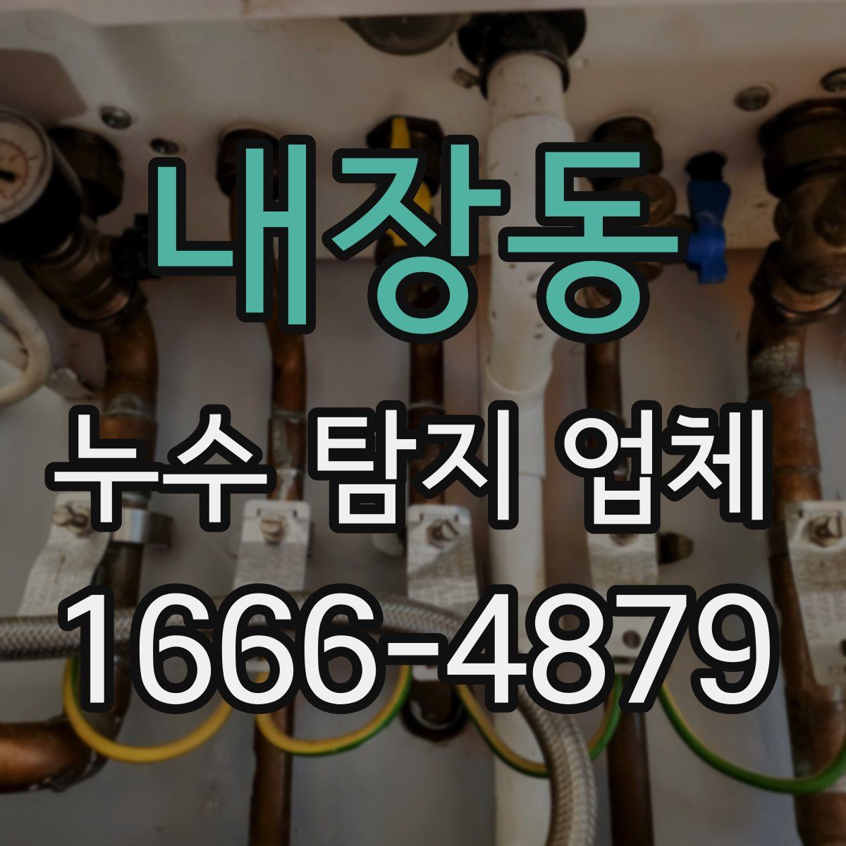 내장동 누수 탐지 업체