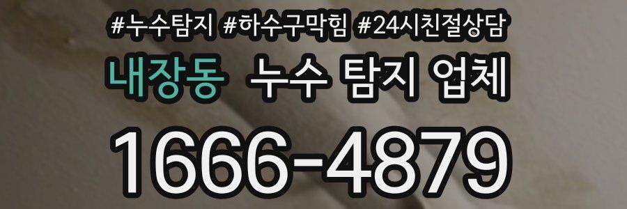 내장동 누수 탐지 업체