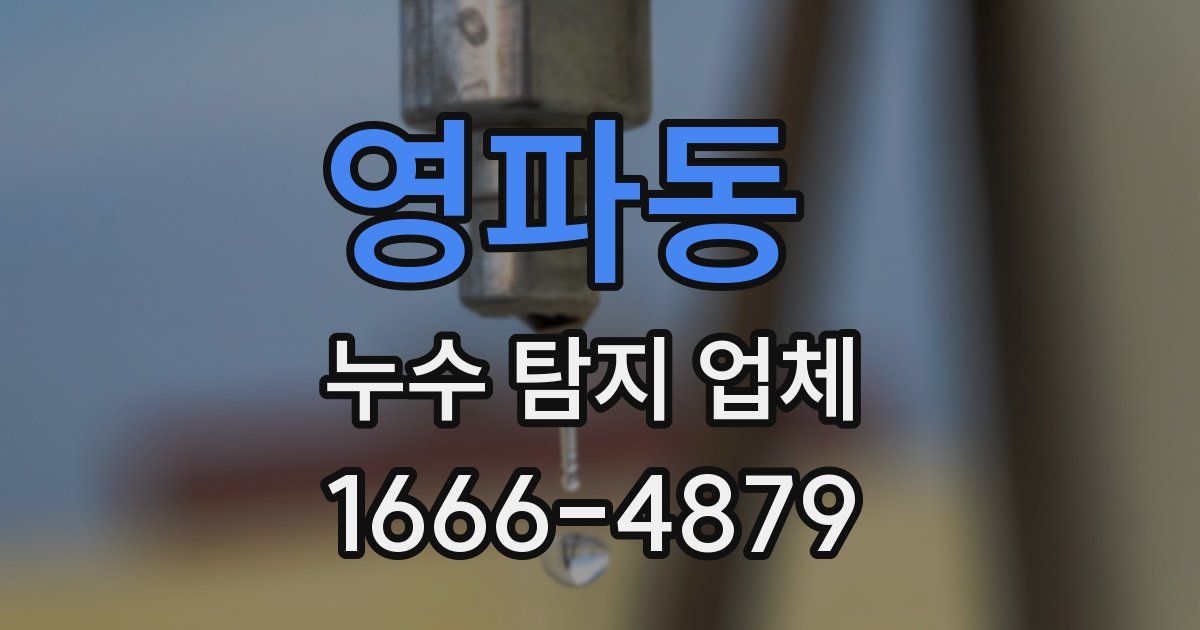 영파동 누수 탐지 업체