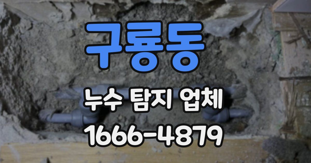 구룡동 누수 탐지 업체