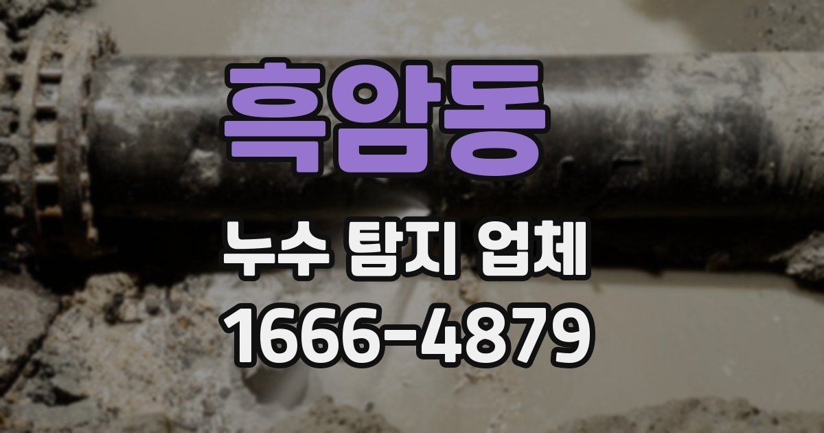 흑암동 누수 탐지 업체
