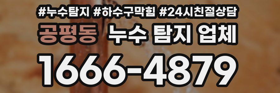 공평동 누수 탐지 업체