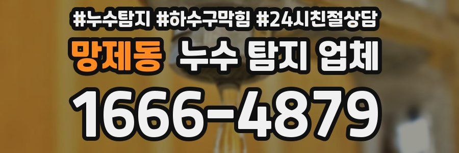 망제동 누수 탐지 업체