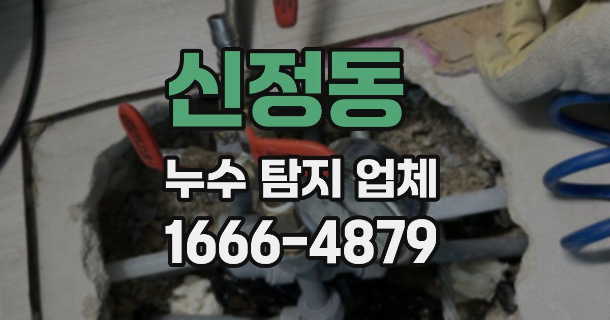신정동 누수 탐지 업체