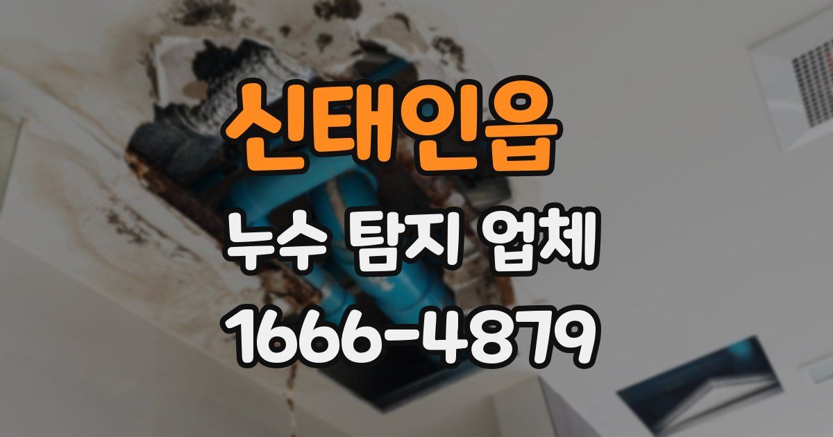 신태인읍 누수 탐지 업체