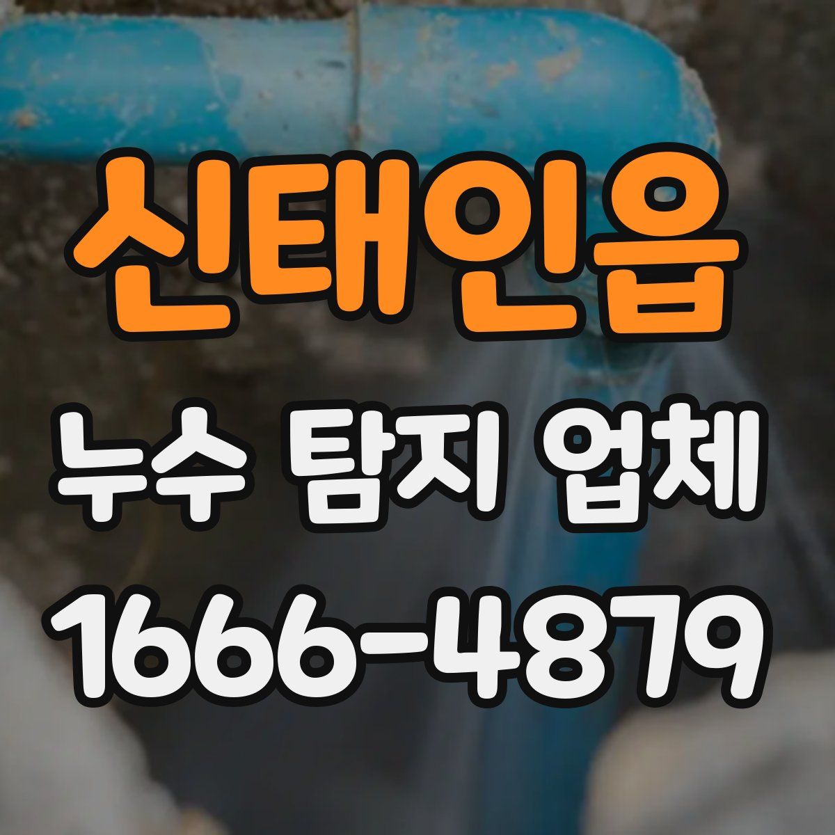 신태인읍 누수 탐지 업체