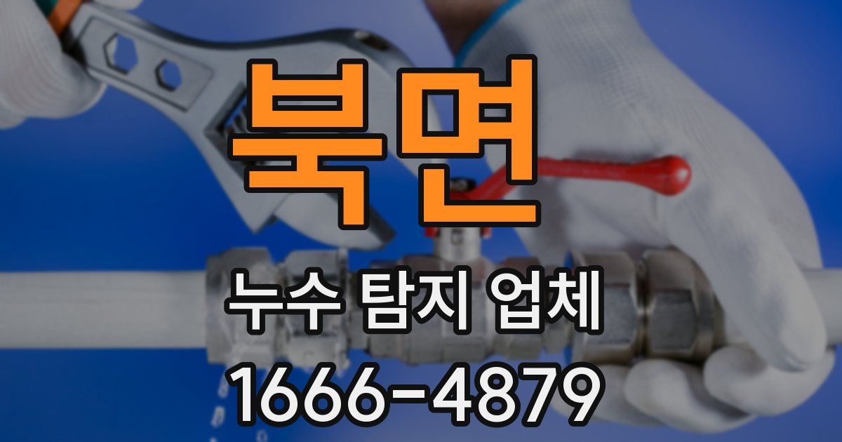 북면 누수 탐지 업체
