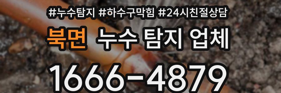 북면 누수 탐지 업체