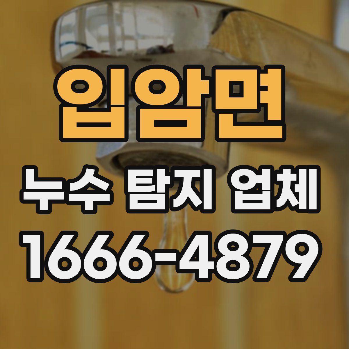 입암면 누수 탐지 업체