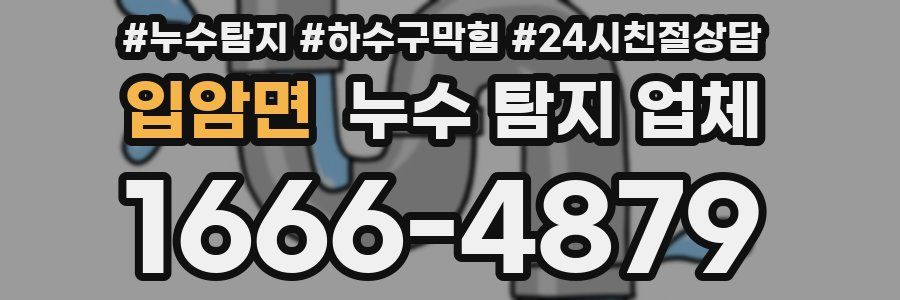 입암면 누수 탐지 업체