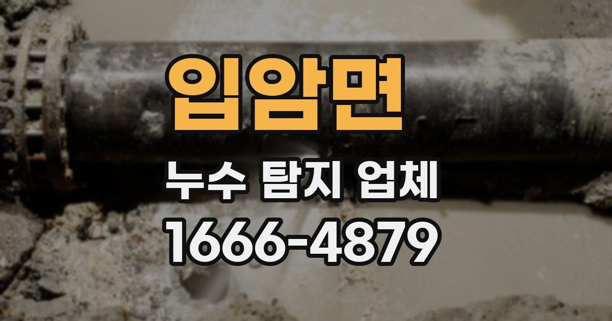 입암면 누수 탐지 업체