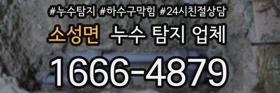 소성면 누수 탐지 업체