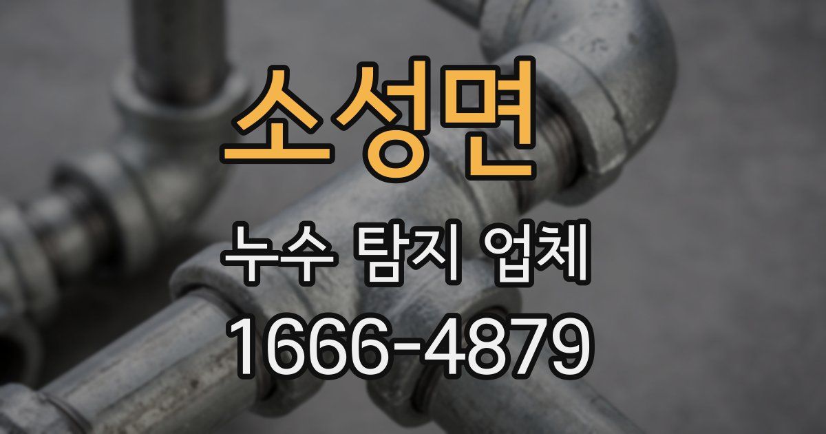 소성면 누수 탐지 업체