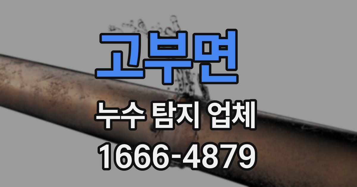 고부면 누수 탐지 업체