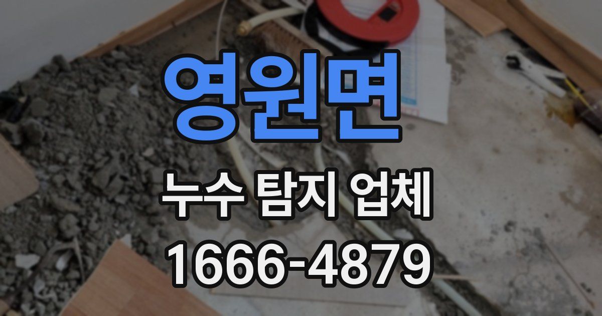 영원면 누수 탐지 업체