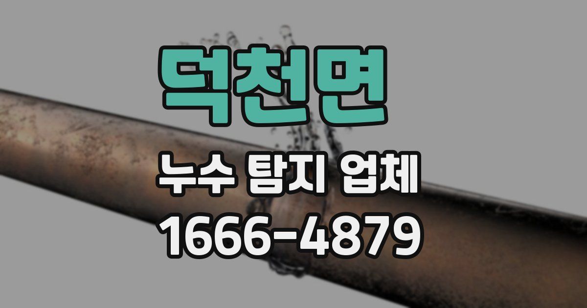 덕천면 누수 탐지 업체
