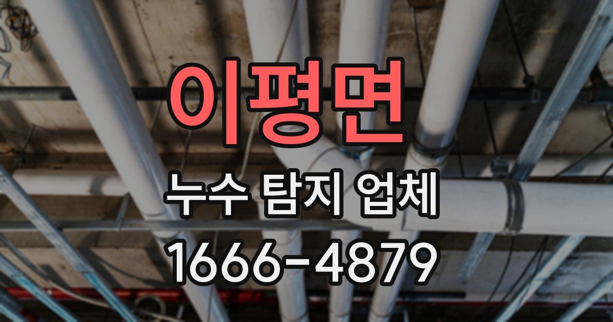 이평면 누수 탐지 업체