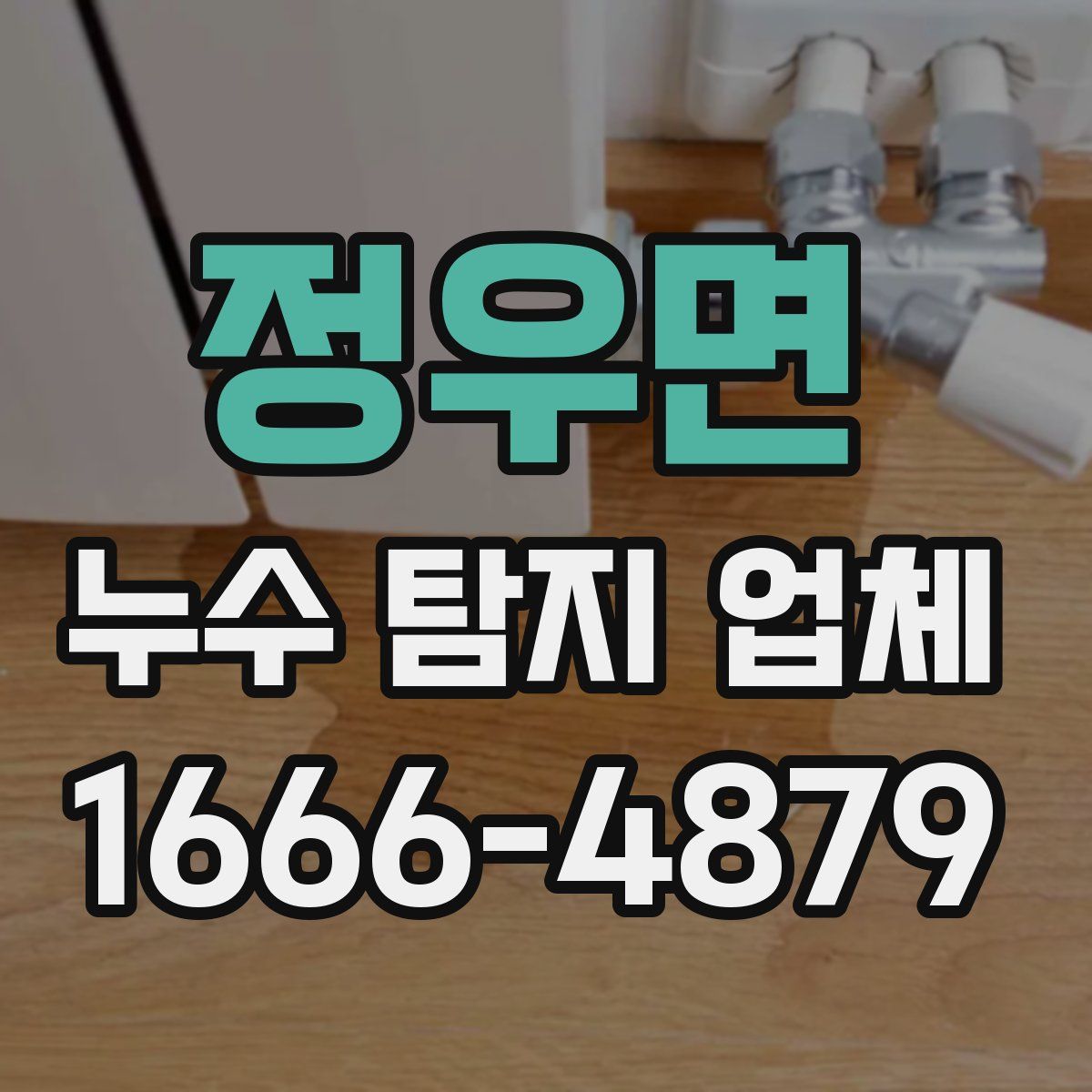 정우면 누수 탐지 업체