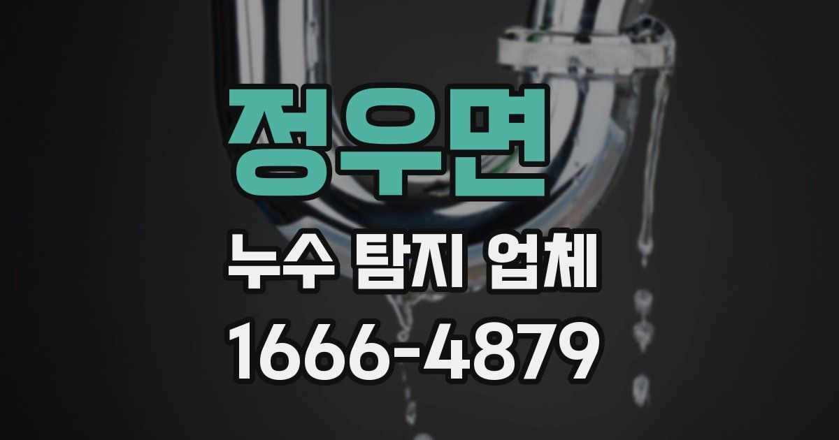 정우면 누수 탐지 업체