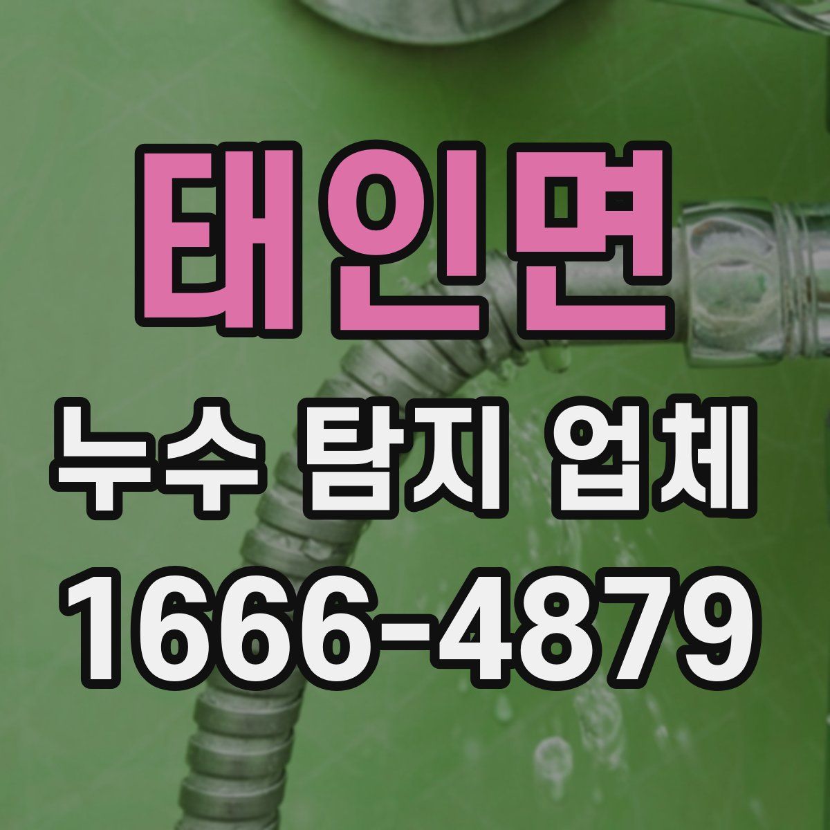 태인면 누수 탐지 업체