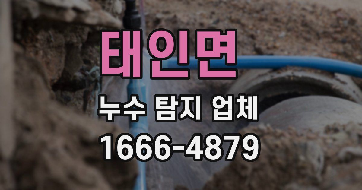 태인면 누수 탐지 업체