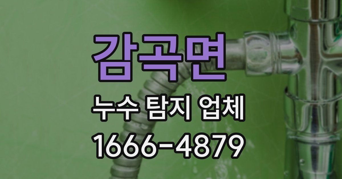 감곡면 누수 탐지 업체