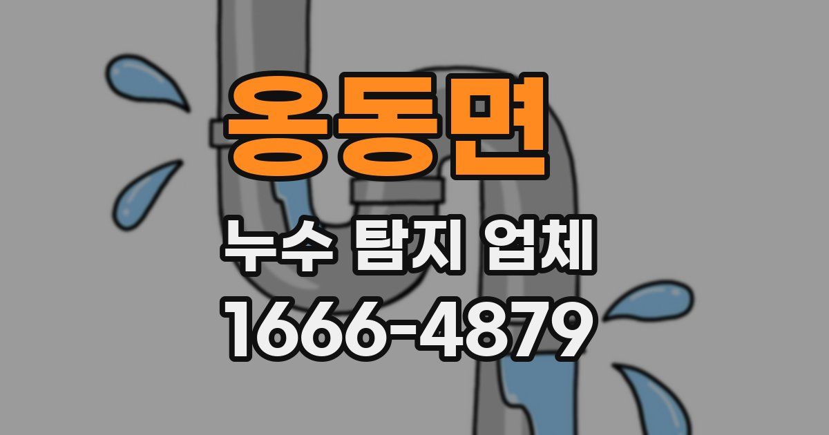 옹동면 누수 탐지 업체