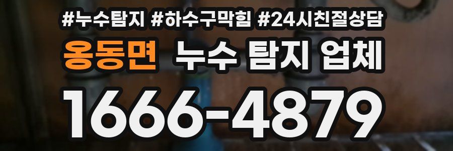 옹동면 누수 탐지 업체