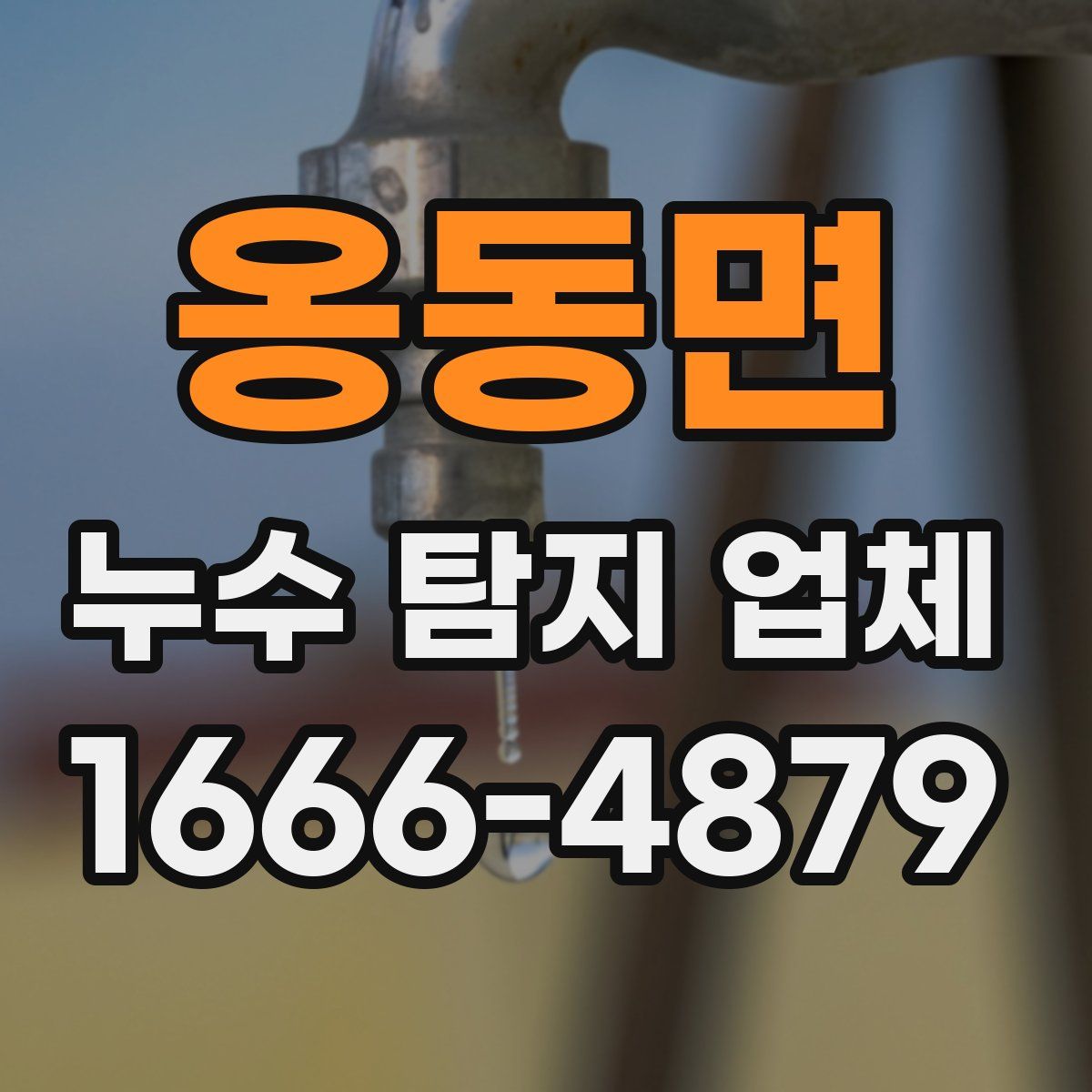 옹동면 누수 탐지 업체