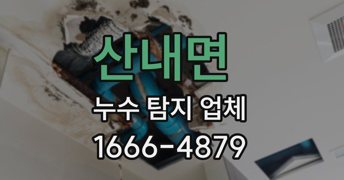 산내면 누수 탐지 업체