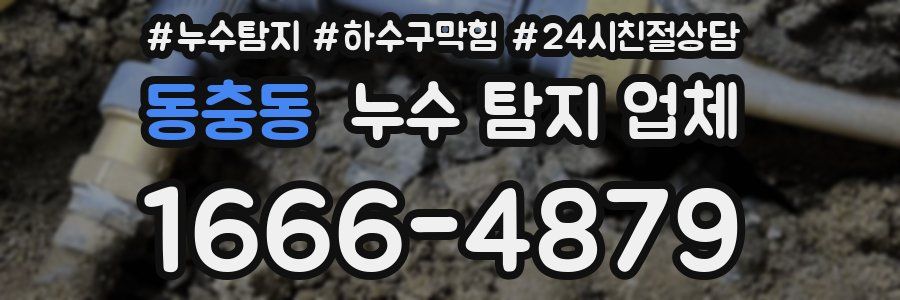 동충동 누수 탐지 업체