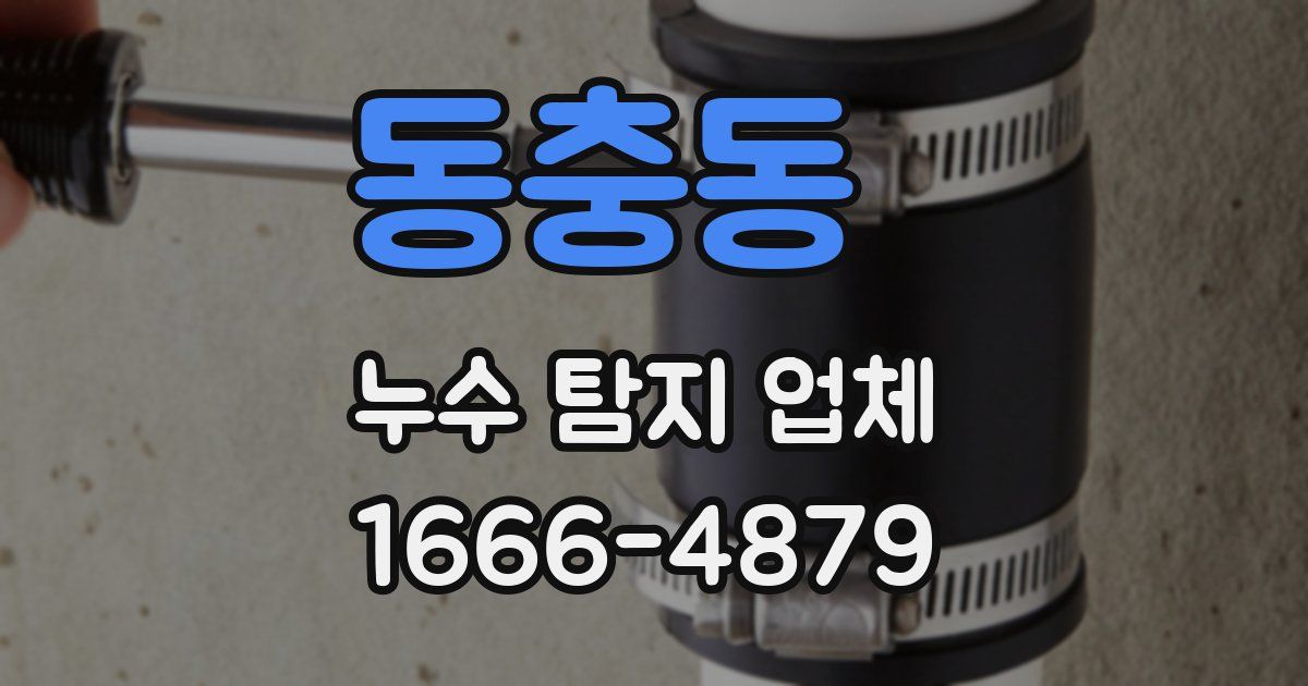 동충동 누수 탐지 업체