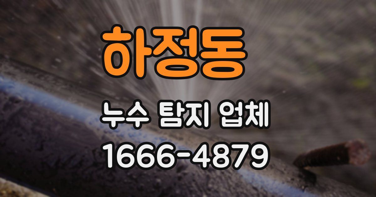 하정동 누수 탐지 업체