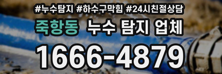 죽항동 누수 탐지 업체