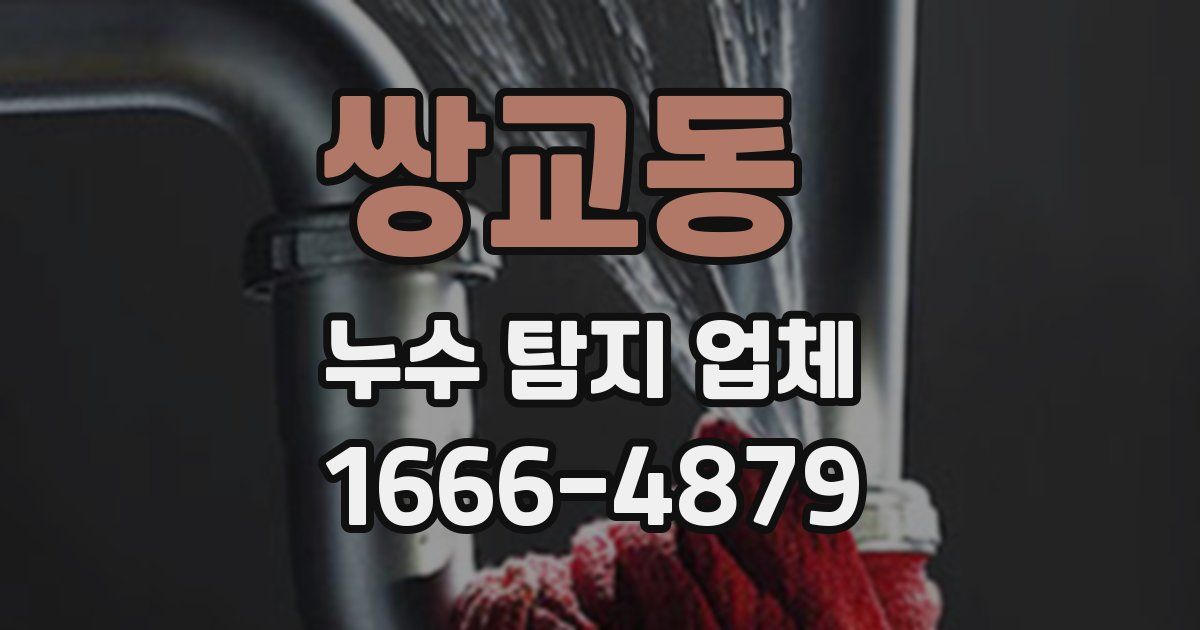 쌍교동 누수 탐지 업체