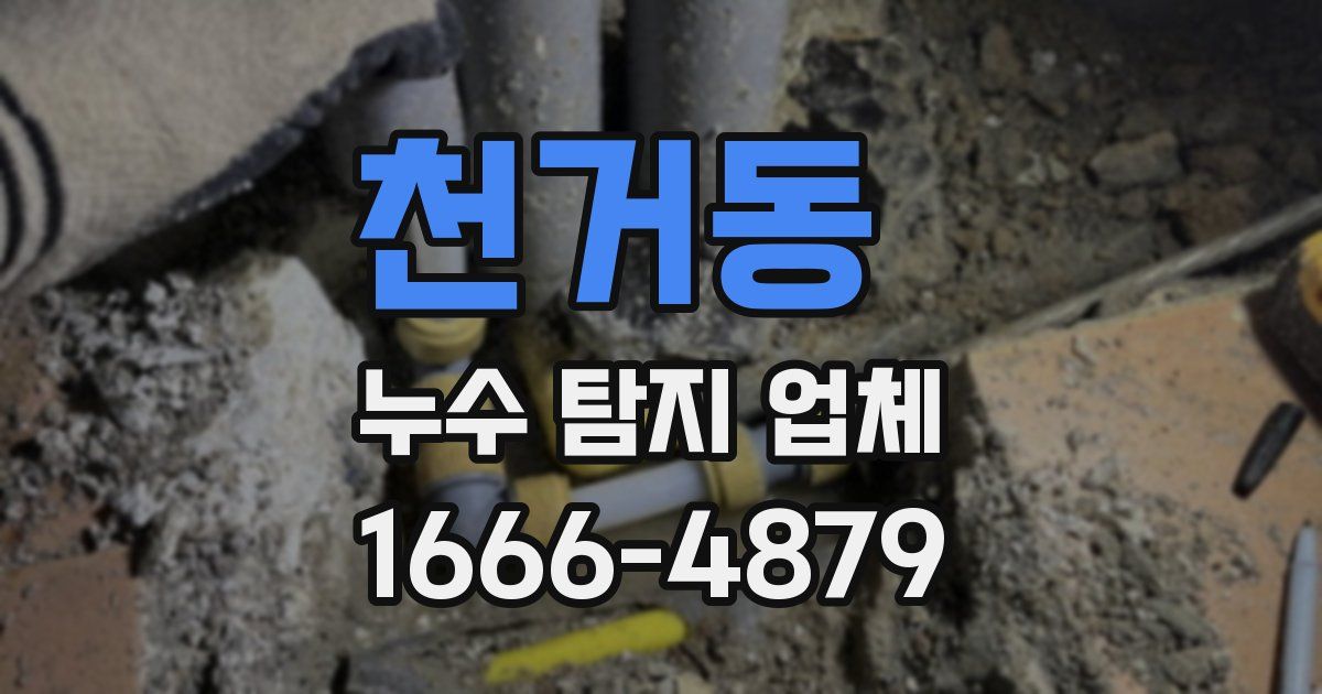 천거동 누수 탐지 업체