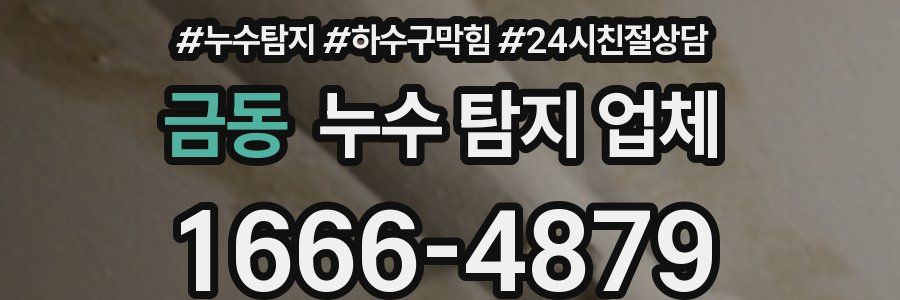 금동 누수 탐지 업체