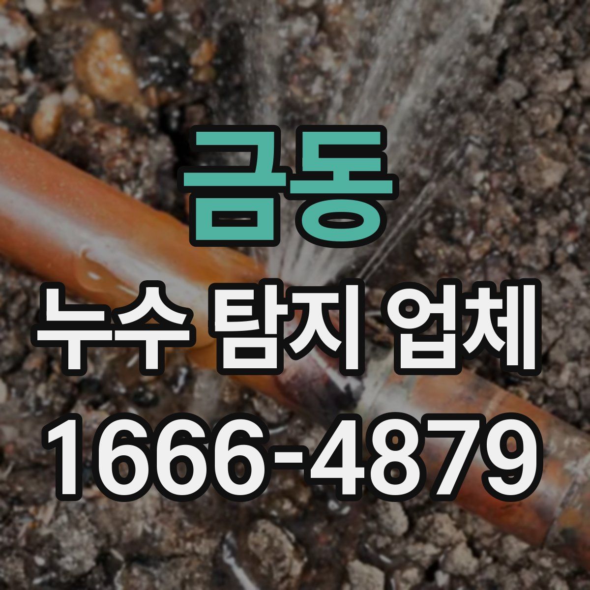 금동 누수 탐지 업체