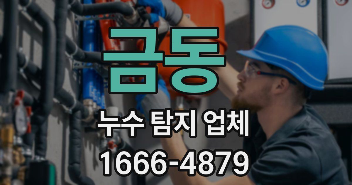금동 누수 탐지 업체