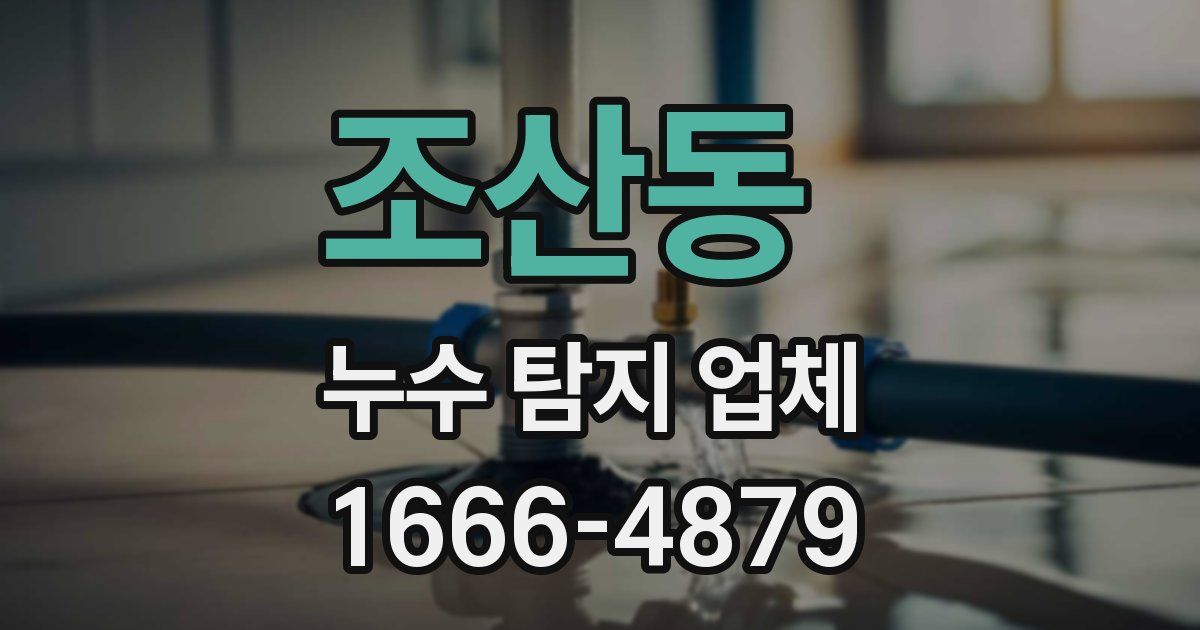 조산동 누수 탐지 업체