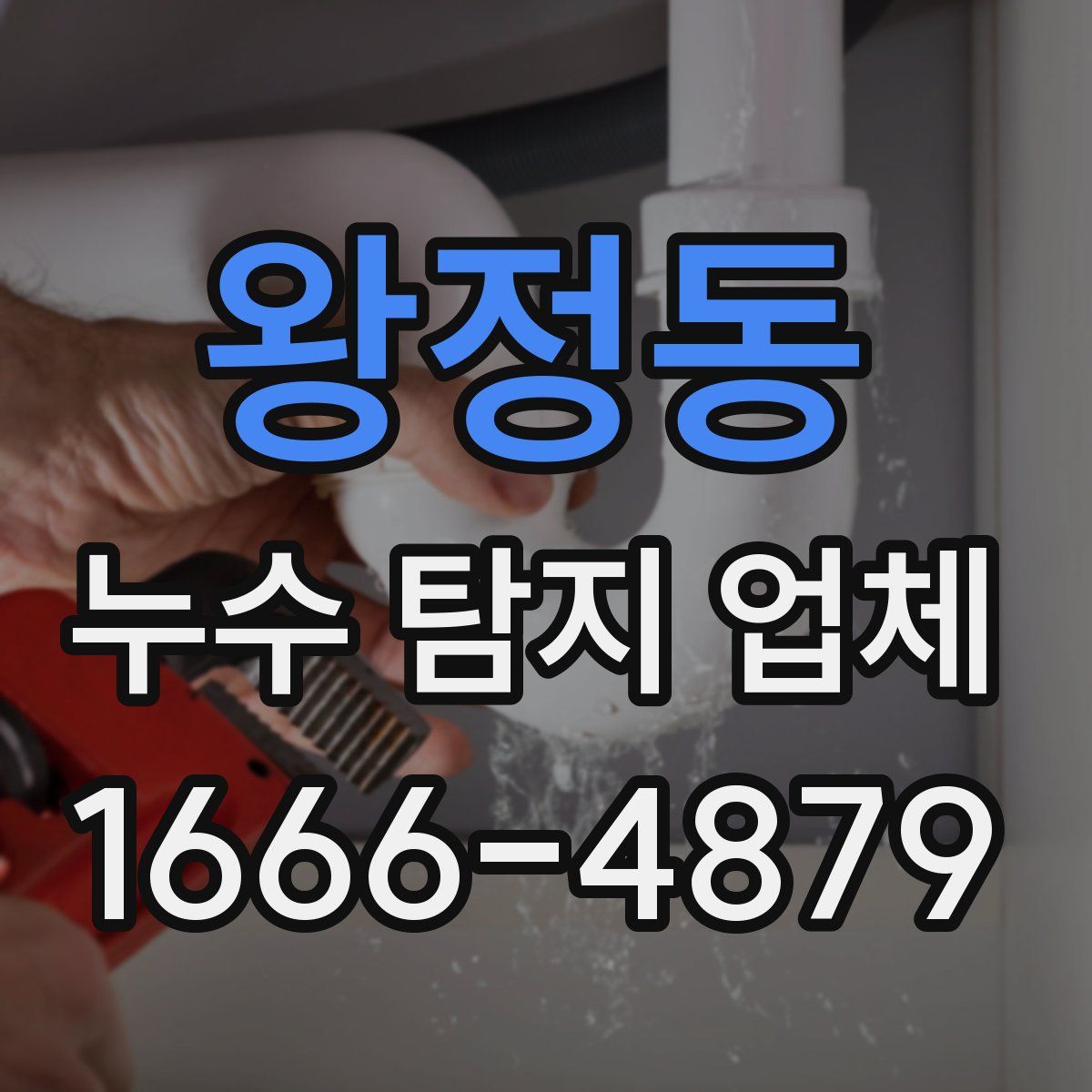 왕정동 누수 탐지 업체