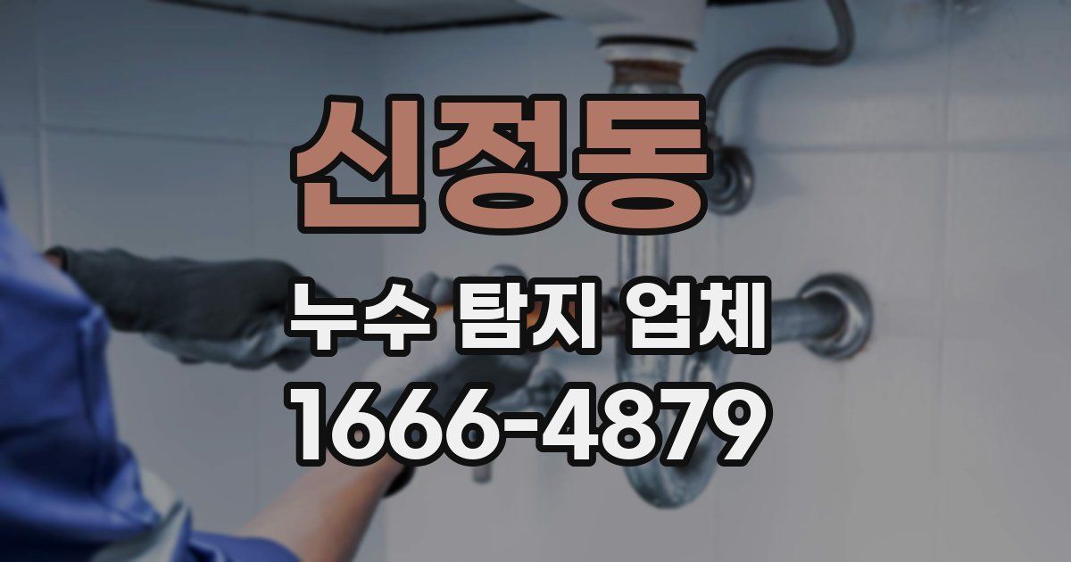 신정동 누수 탐지 업체